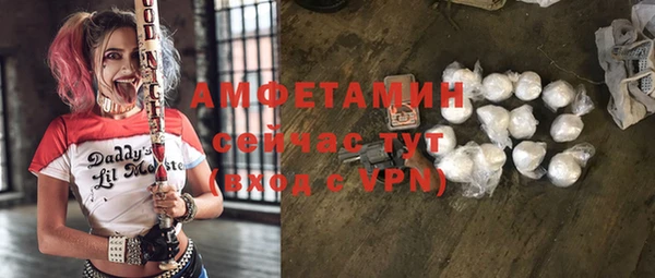 шишки Тайга