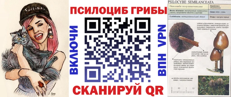 Псилоцибиновые грибы MAGIC MUSHROOMS  Камызяк 