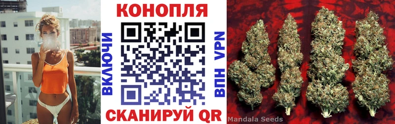 Каннабис марихуана  закладка  Камызяк 